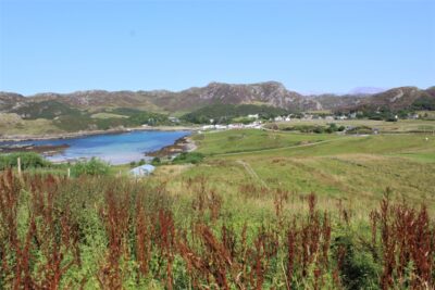 Croft 17, Scouriemore, Lairg